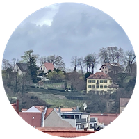 Weinberge_rund